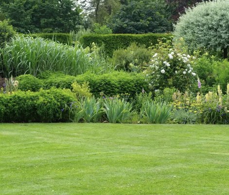 Landscaping - Landscaping Services Landscaping - Landscaping Services