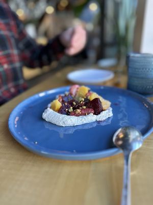 Lion and Owl by null