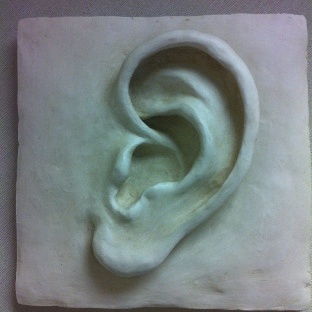 Hawaii Ear Clinic - Ear Nose & Throat Near Me - Aiea, Hawaii