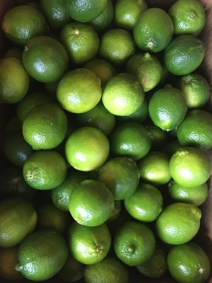 Baby Jane Bar by null