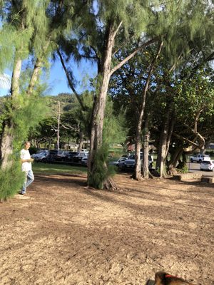 ʻEhukai Beach Park by null