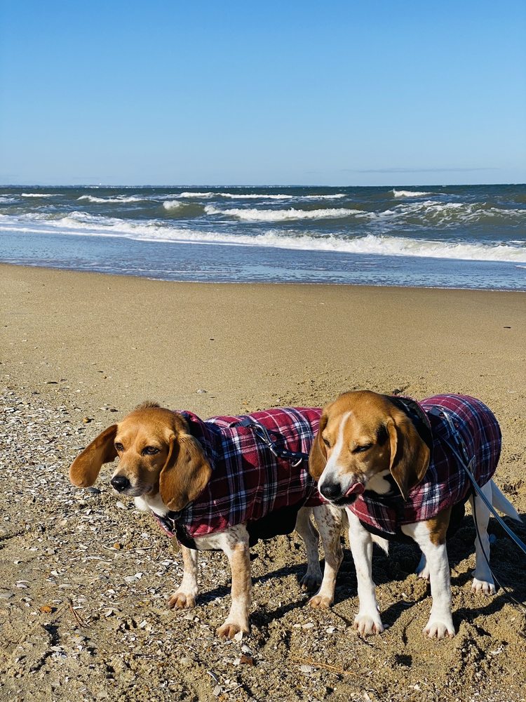 Ocean View Beach Park