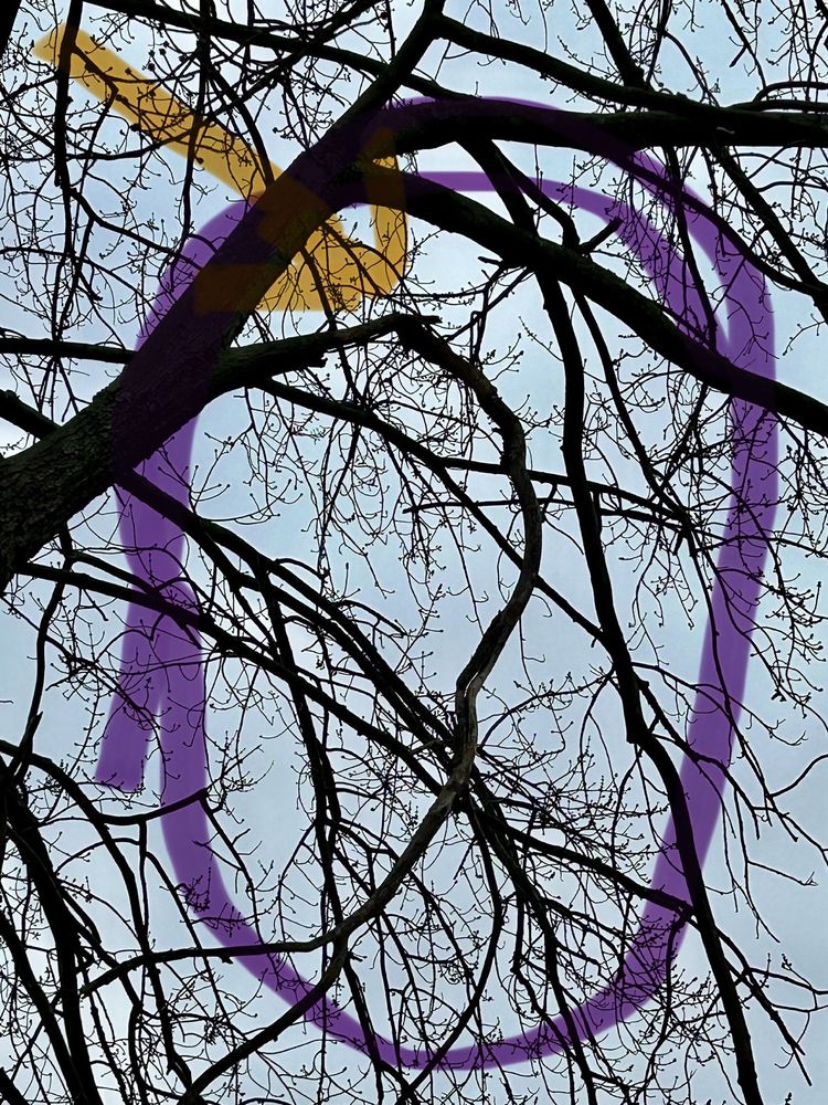 MAYER TREE SERVICES Updated September 2024 30 Photos & 37 Reviews