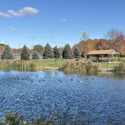 Losson Park