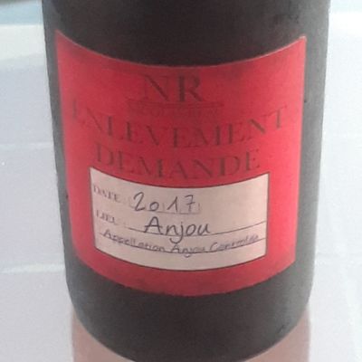 Vinology Bottle Shop + Tasting Bar by null