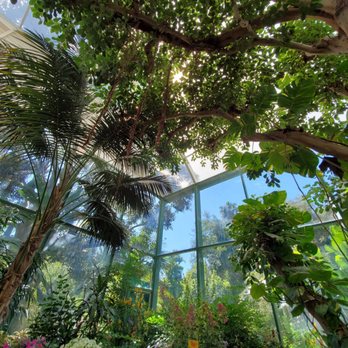 Butterfly Jungle - Zoos Near Me - Escondido, California