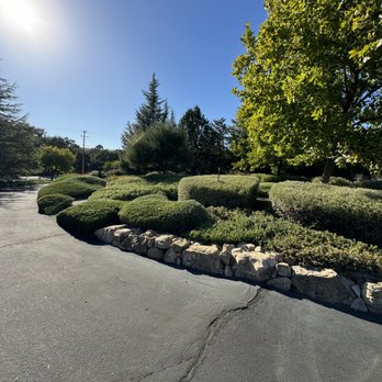 Bella Landscape - Major Trimming - Lawn Services Near Me Bella Landscape - Major Trimming - Lawn Services Near Me