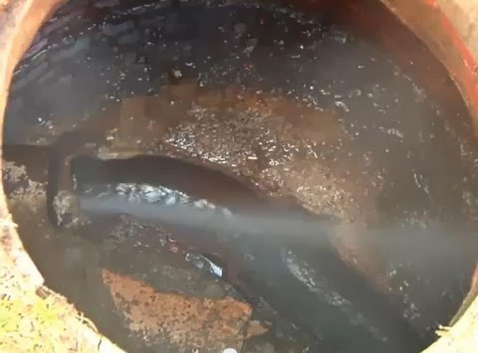 Slide of Drain Saver