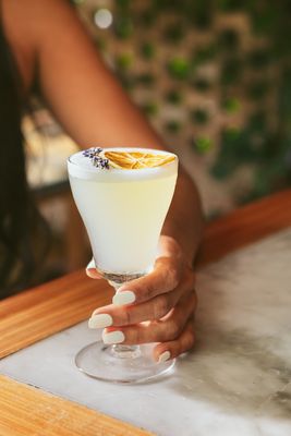 Pastis Miami by null