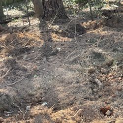 Bynum & Sons Plumbing