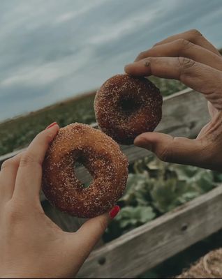 Siegel's Cottonwood Farm by null