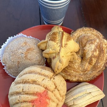 Alegrias Bakery - Concha, Alemana, Tortuga, and not sure on the names of others but so good - Bakeries Near Me - Sterling, Virginia Alegrias Bakery - Concha, Alemana, Tortuga, and not sure on the names of others but so good - Bakeries Near Me - Sterling, Virginia