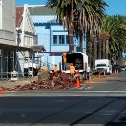 Removing the dead palm tree, and you can see the "before" of the palm to be trimmed behind it. Removing the dead palm tree, and you can see the "before" of the palm to be trimmed behind it.