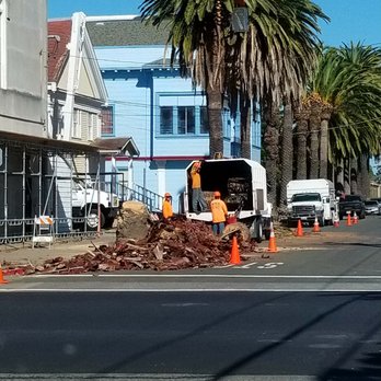 EZ Tree - Removing the dead palm tree, and you can see the "before" of the palm to be trimmed behind it. - Tree Services Near Me - Vallejo, California EZ Tree - Removing the dead palm tree, and you can see the "before" of the palm to be trimmed behind it. - Tree Services Near Me - Vallejo, California