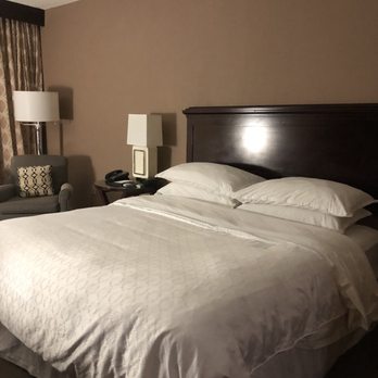 Sheraton Orlando North Hotel - Hotels Near Me - Maitland, Florida Sheraton Orlando North Hotel - Hotels Near Me - Maitland, Florida