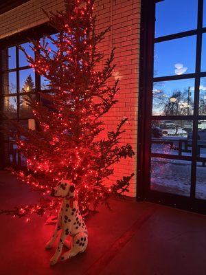 Ladder 4 Wine Bar by null