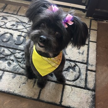 Pretty Paws - Pet Groomers Near Me - Chantilly, Virginia Pretty Paws - Pet Groomers Near Me - Chantilly, Virginia