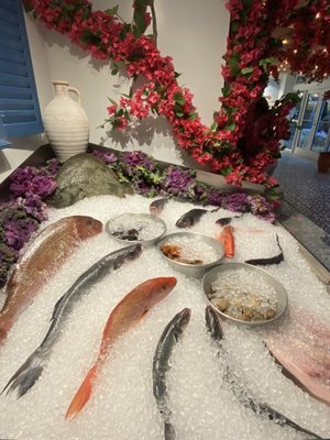 Calista Cafe by null