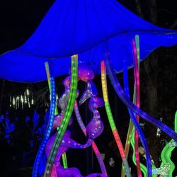 Dragon Lights Reno - Jellyfish