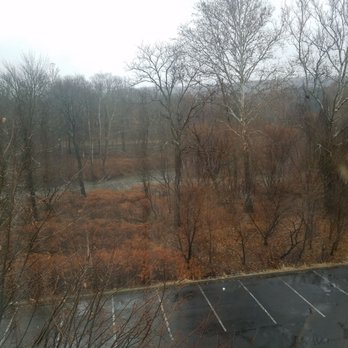Hampton Inn Stroudsburg/Poconos - Views of McMichael Creek behind the hotel. - Hotels Near Me - Stroudsburg, Pennsylvania