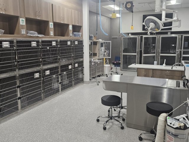 Slide of Triple Star Construction