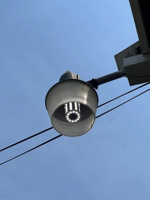 Lunaria Family Electric Logo