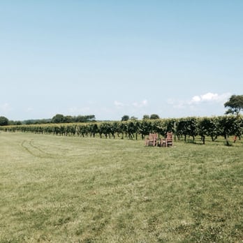 Sakonnet Vineyard - Gorgeous day - Wineries Near Me - Little Compton, Rhode Island Sakonnet Vineyard - Gorgeous day - Wineries Near Me - Little Compton, Rhode Island