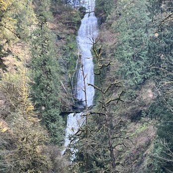 Munson Creek Falls - Munson Creek Falls - Parks Near Me Munson Creek Falls - Munson Creek Falls - Parks Near Me