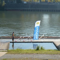 angers nautique aviron