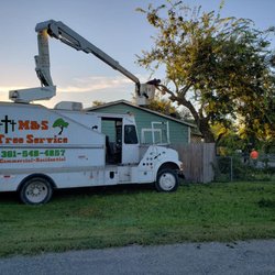 M & S Tree Service