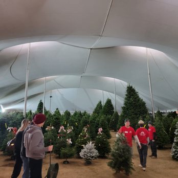 Frosty's Forest - Christmas Trees Near Me - Yorba Linda, California