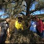 California Survival School