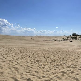Jockey's Ridge State Park - Parks Near Me - Nags Head, North Carolina Jockey's Ridge State Park - Parks Near Me - Nags Head, North Carolina