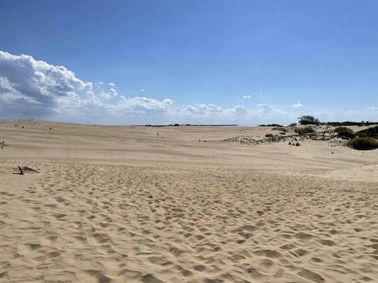 Jockey's Ridge State Park by null