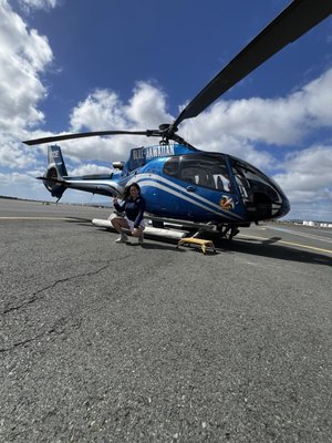Blue Hawaiian Helicopters by null