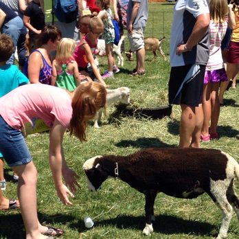 Blues & BBQ - Bring the kids for the petting zoo and inflatables! - Food Trucks Near Me - North Liberty, Iowa Blues & BBQ - Bring the kids for the petting zoo and inflatables! - Food Trucks Near Me - North Liberty, Iowa