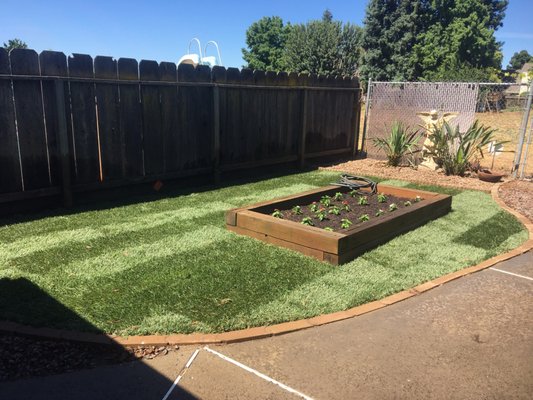 Lawn Service - Yard Max - If you live in the Merced, Ca area and you are interested in hiring a gardener, Yard Max of Merced is your best choice. If you want plants choose native plants, you will find that your garden or yard will be much easier to take care of and look a whole lot better as time wears on. Instead of doing it all your self, hire a gardener to do the work for you. At first working in the yard may not seem like a big deal but you may get sick of it when the bloom wears off the rose, no pun intended. This is a normal thing that happens, it’s not long after that we start to take our yards for granted and it stops being a hobby and more of a job to be your own gardener. That’s why you should hire Yard max of Merced to be your Gardener in Merced, Ca.