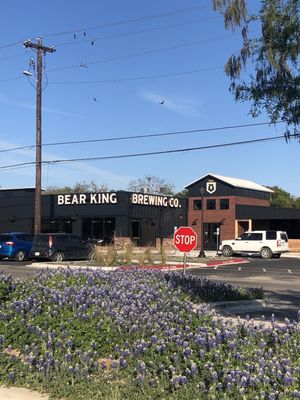 Bear King Brewing Company by null