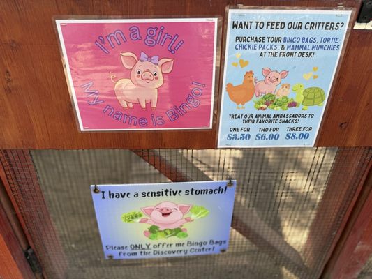 Agua Hedionda Lagoon Foundation (Discovery Center) by null