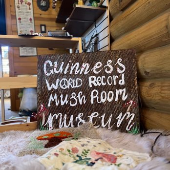 The Shroom Room - Coffee & Tea Near Me - Payson, Arizona