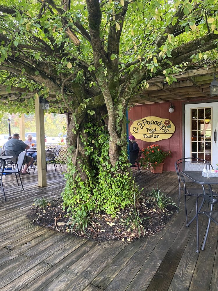 CJ PAPADOPS 18 Reviews 551 Briar Thicket Rd, Bybee, Tennessee