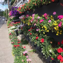 Davenport Garden Centre