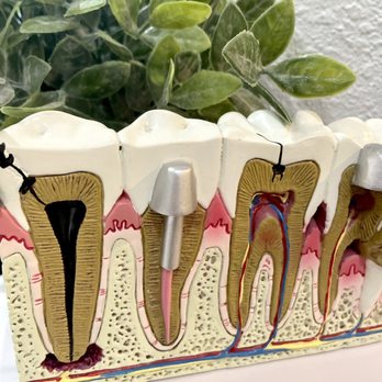 Lake Travis Dentistry - Education - General Dentistry Near Me - Austin, Texas