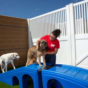 Camp Bow Wow - Pet Sitting Near Me - Charlotte, North Carolina