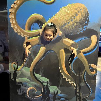 Austin Aquarium - Aquariums Near Me - Austin, Texas