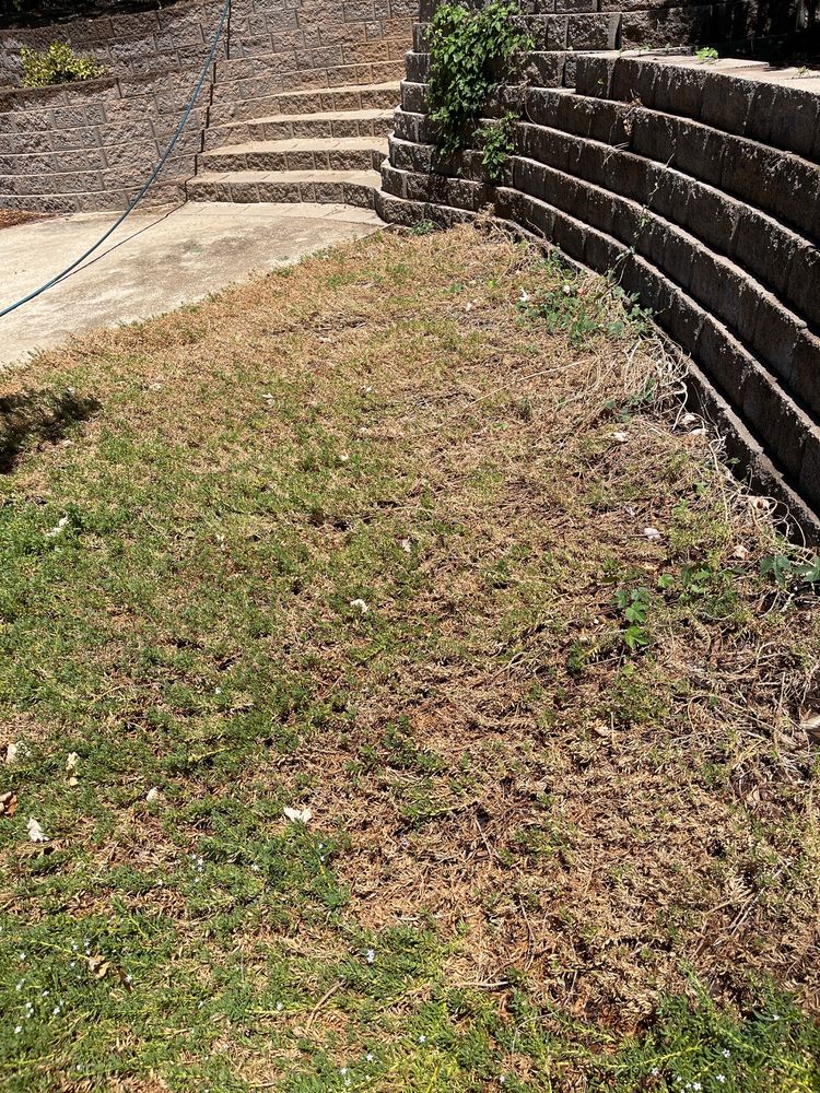 FIGS LANDSCAPING Updated August 2024 20 Reviews 3865 Taylor Rd