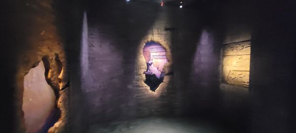 National Geographic Museum of Exploration by null