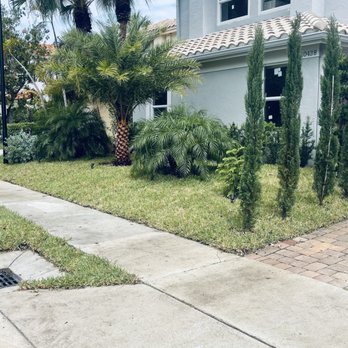 Decam Landscape Services - Italian cypress, Sylvester palm, Robelini palm and sod installed - Lawn Services Near Me