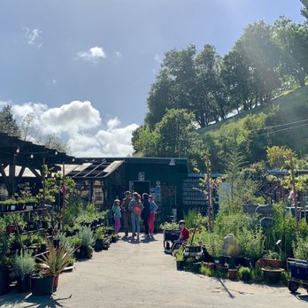 O'Donnells Fairfax Nursery - The great selection at O'Donnells in Fairfax on Sir Francis Drake Blvd. - Nurseries & Gardening Near Me - Fairfax, California