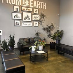 From The Earth Dispensary Independence